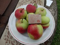 DSC03085.jpg