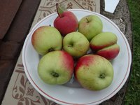 DSC03088.jpg