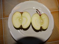 DSC03099.jpg