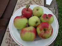DSC03090.jpg