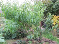 IMG_0006.JPG