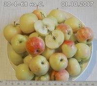 DSC03517.jpg