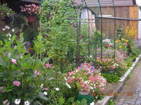 DSCN4246.JPG