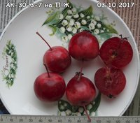 DSC00033.jpg