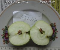 DSC00034.jpg