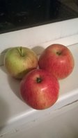 WP_20171003_001.jpg