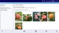 Screenshot_2017-10-03-21-21-58.png
