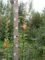 DSC06481-01.jpg