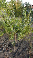 20171004_080640.jpg