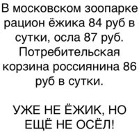 XIIh4X1FCM8.jpg