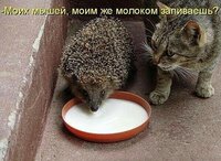 я2.jpg
