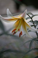 DSC_8094.jpg