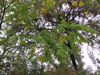 IMG_0028.JPG