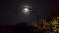20171006_220931.jpg