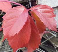 20171007_162456-1.jpg