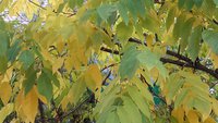 20171007_162224.jpg
