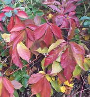 20171007_162513-1-1.jpg