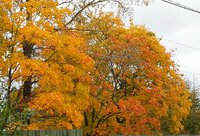 20171007_133954-1.jpg