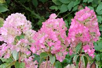20171007_122104-1-1.jpg