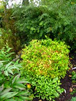 IMG_4904-1.jpg