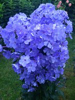 IMG_20130714_215717.jpg