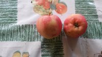 20171009_110534[1].jpg