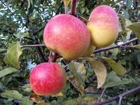 IMG_20171008_151838-min.jpg