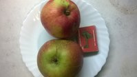 WP_20171009_004.jpg
