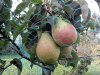 IMG_20171008_151602-min.jpg