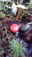 IMG_20171008_105646.jpg