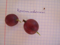 Краснословянский.JPG