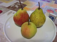 IMG_20171012.jpg