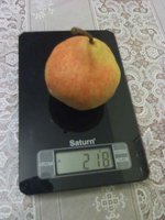 ПЯ_20160912.jpg
