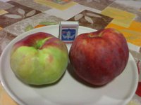 БРvsПГ1_20171011.jpg