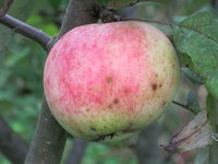 IMG_6728.JPG