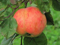 IMG_6878.JPG