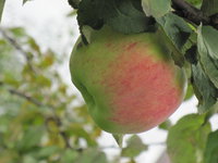 IMG_6789.JPG