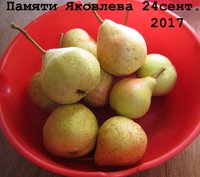 память1.jpg