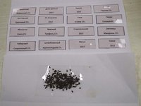 175-2.jpg