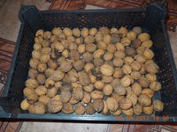 DSCN6235.JPG