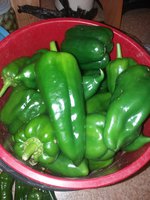 20170928_224306.jpg