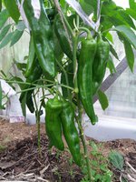20171007_155716.jpg