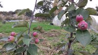 20171008_154009.jpg