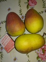 IMG_20171015_125030.jpg