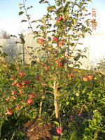 DSCN9571.jpg