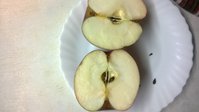 WP_20171017_002.jpg