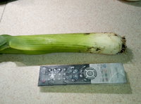 P71018-212959.jpg