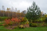 DSC_0747.jpg