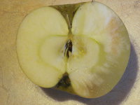 IMG_5380.JPG
