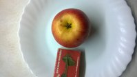 WP_20171017_004.jpg